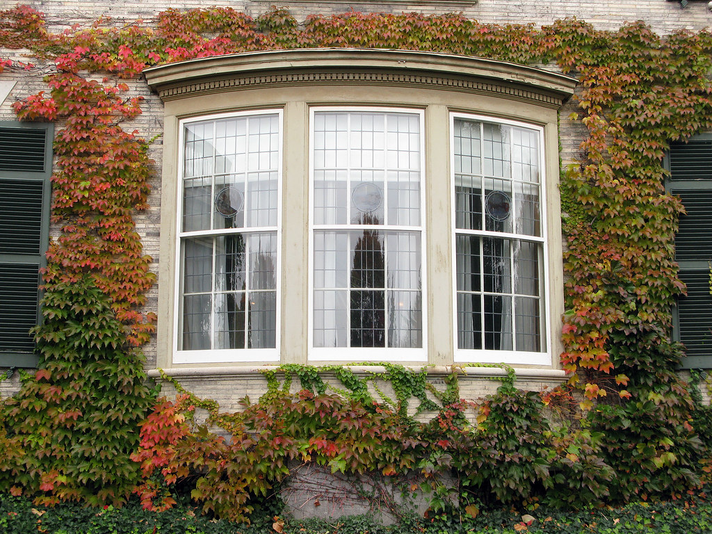 Bay Window installation Rockville, SC