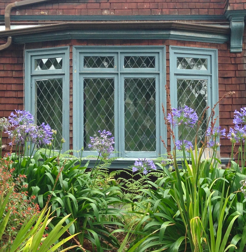 Bow Window Replacement James Island